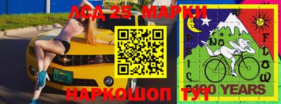 прущие крисы Кулебаки