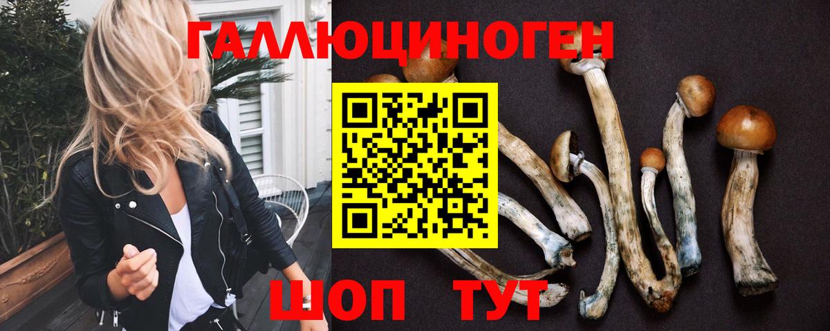 Псилоцибиновые грибы Cubensis Кизляр
