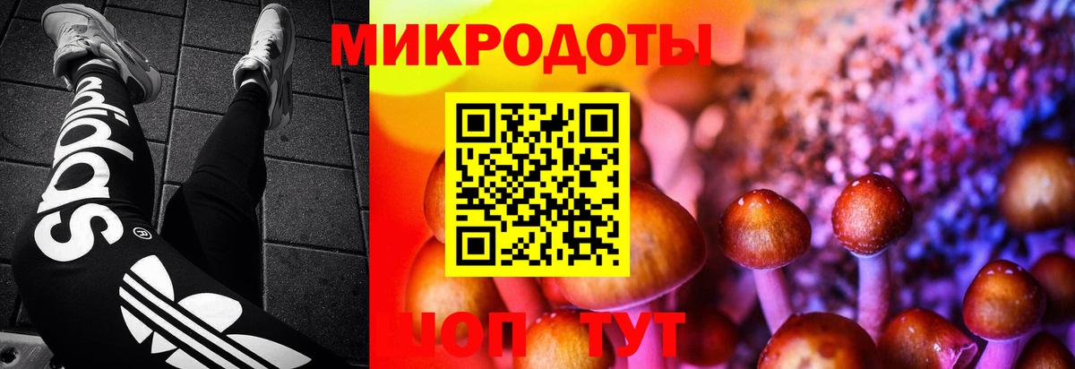 Кизляр  Псилоцибиновые грибы мухоморы  Вход с VPN 